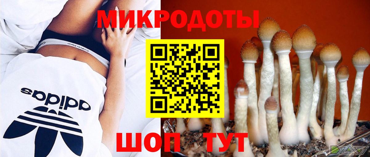 Керчь  Псилоцибиновые грибы Magic Shrooms  Вход с VPN 